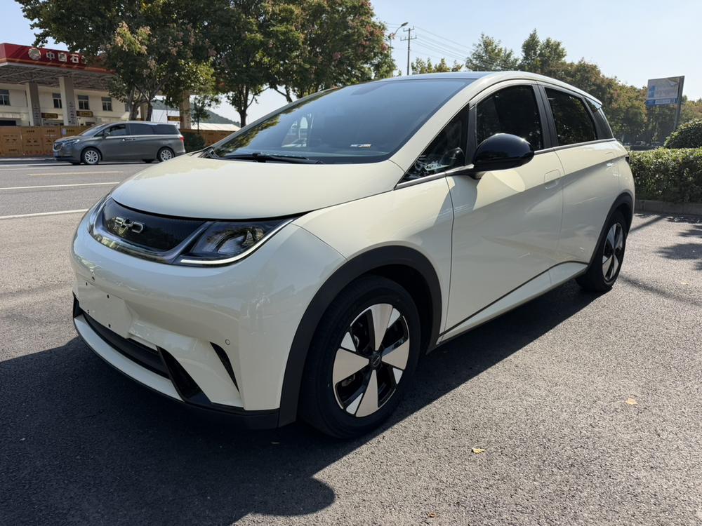 BYD Dolphin