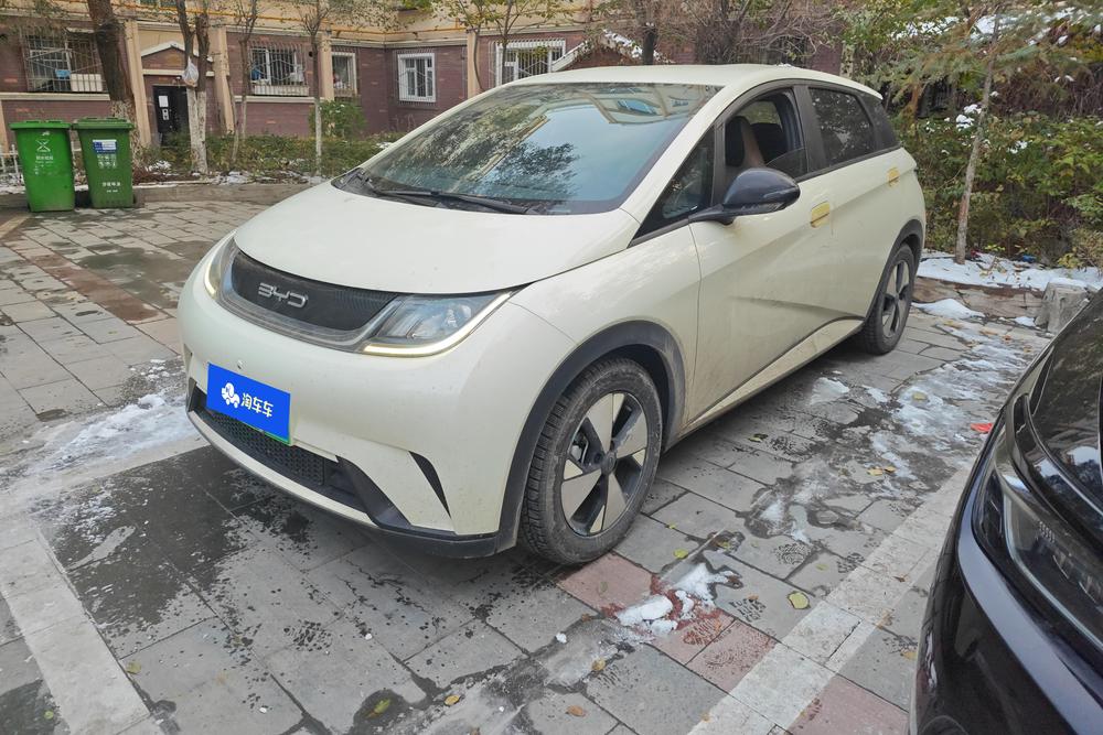 BYD Dolphin