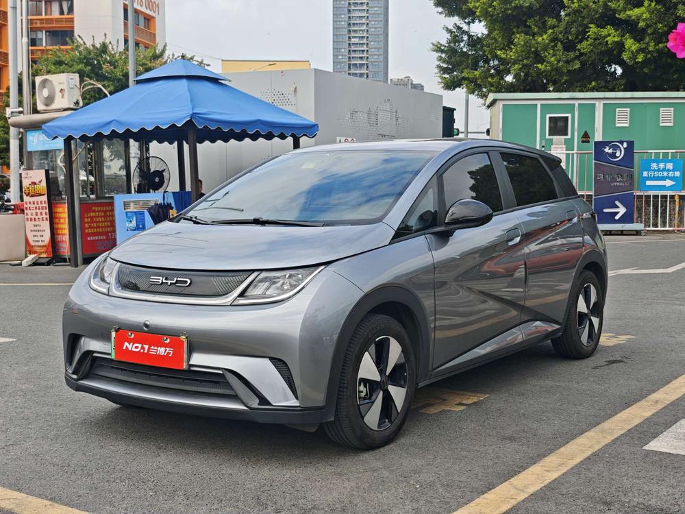 BYD Dolphin