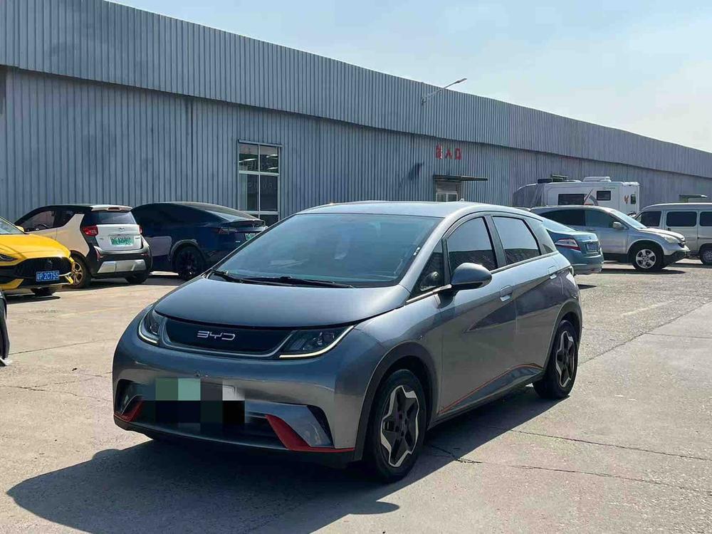 BYD Dolphin