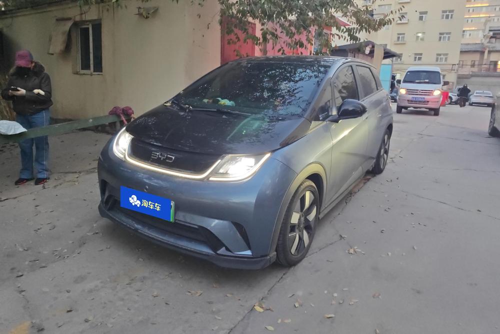 BYD Dolphin