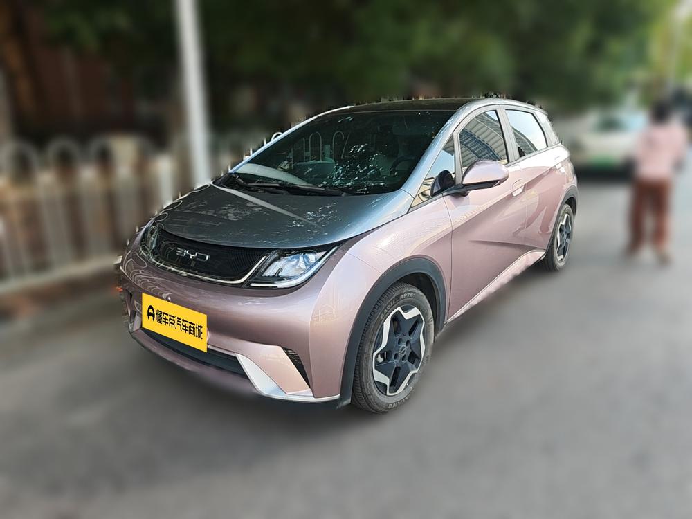 BYD Dolphin
