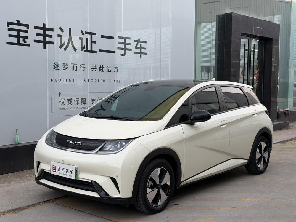 BYD Dolphin