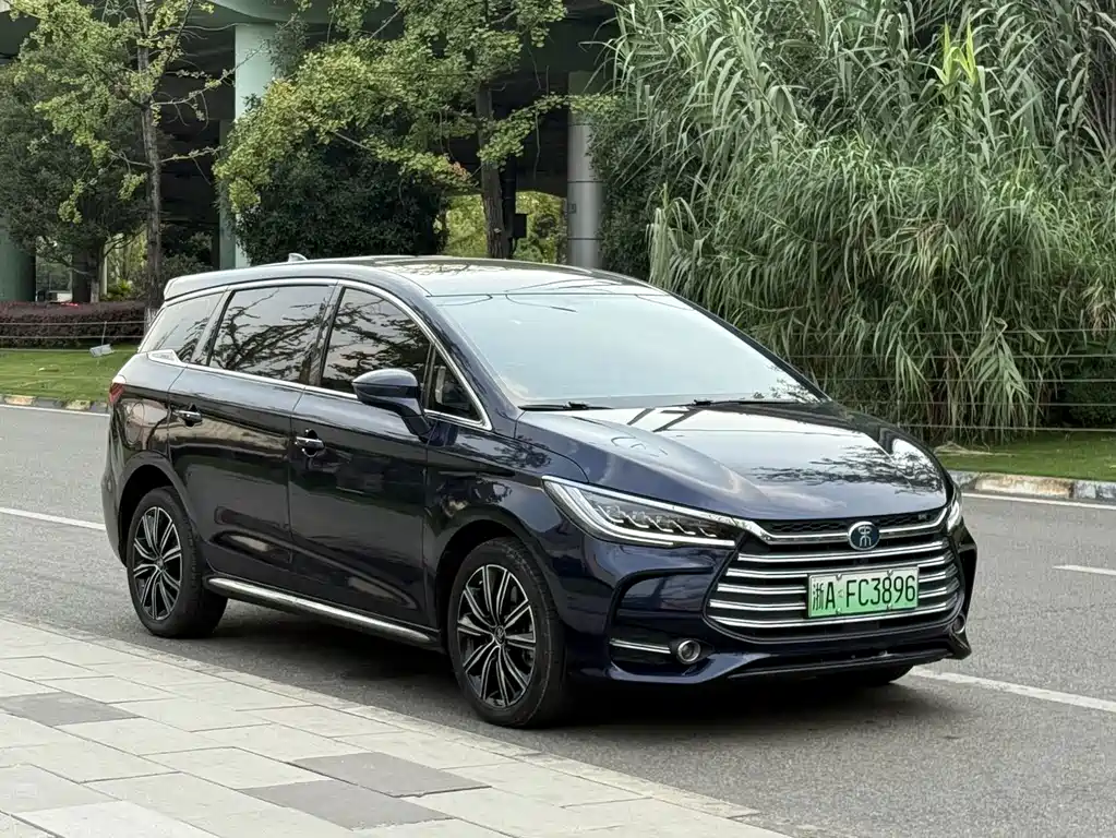 BYD MAX New Energy