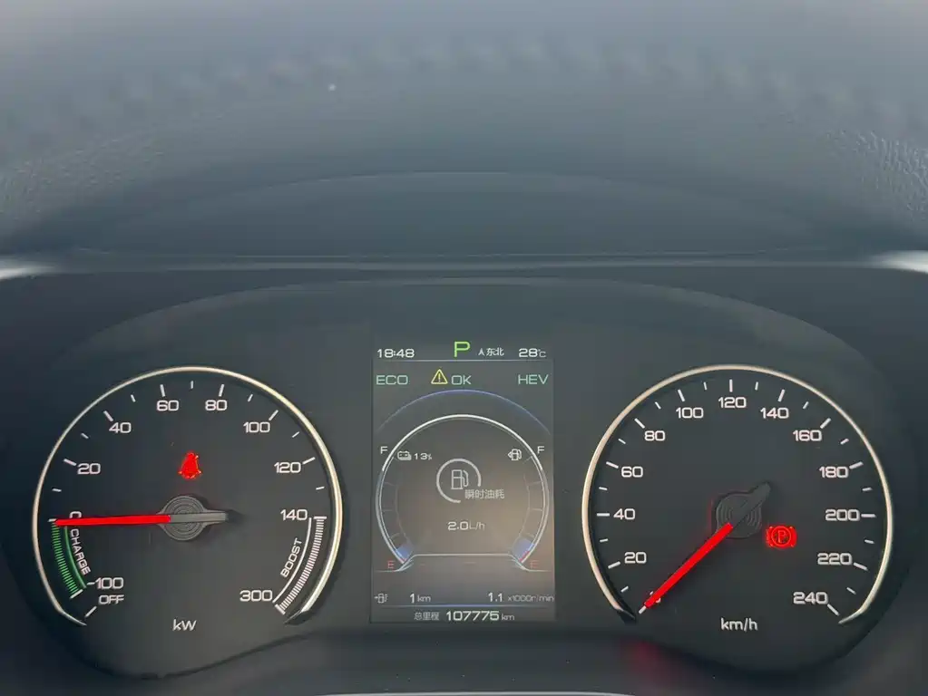 BYD MAX New Energy