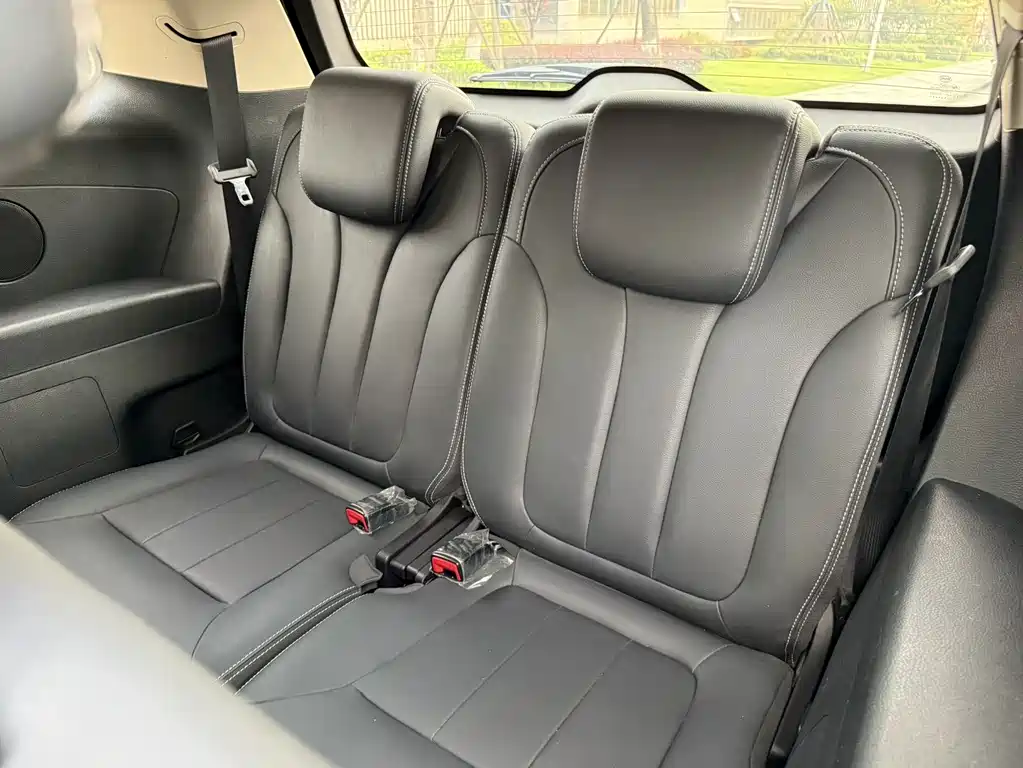 BYD MAX New Energy