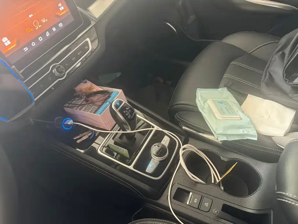 BYD New Energy