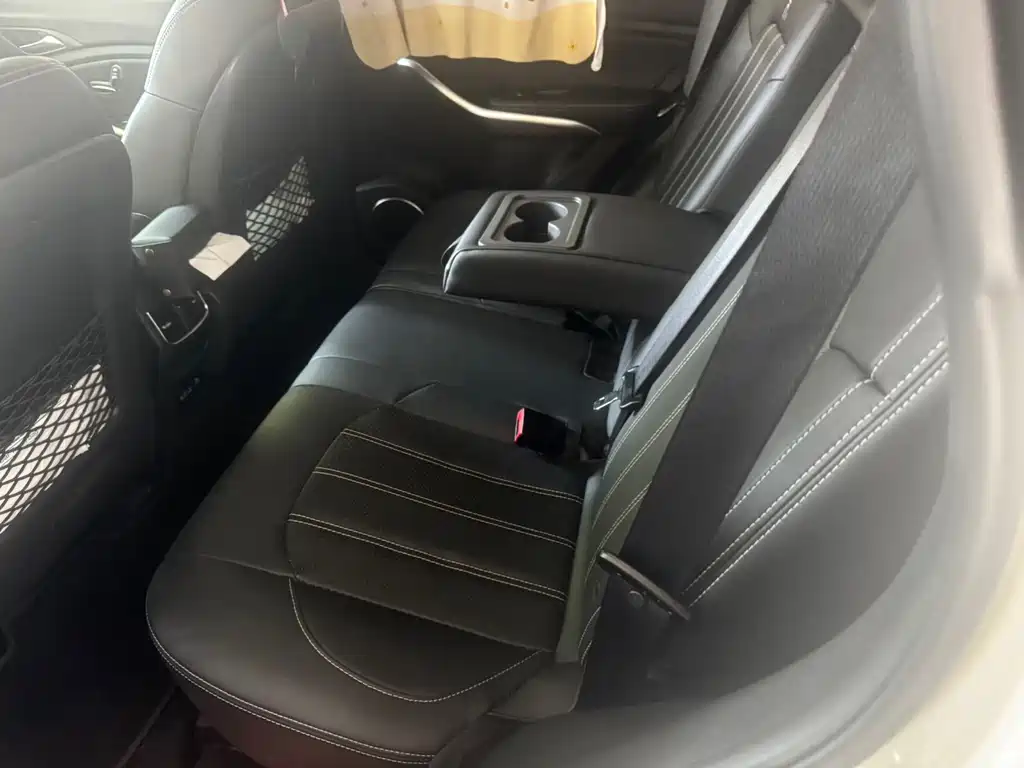 BYD New Energy