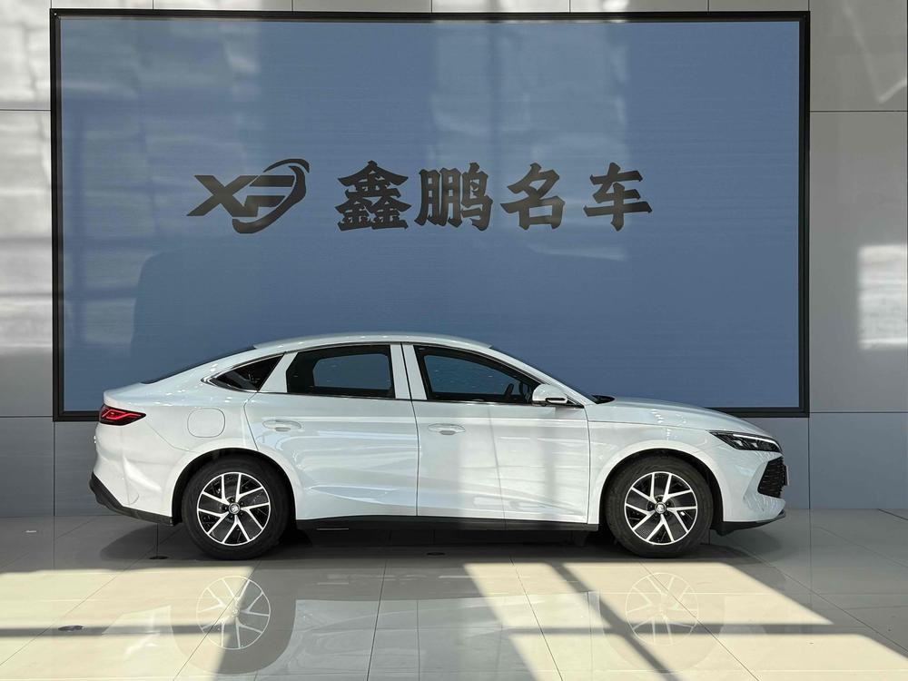 BYD Qin L DM