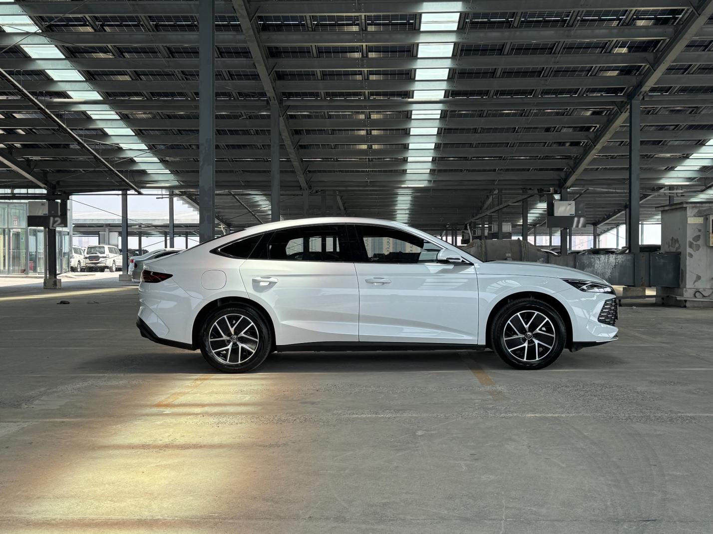 BYD Qin L DM