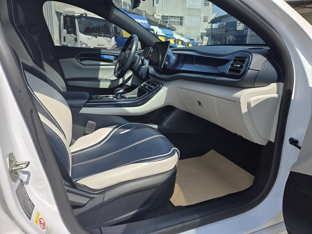 BYD Qin PLUS DM