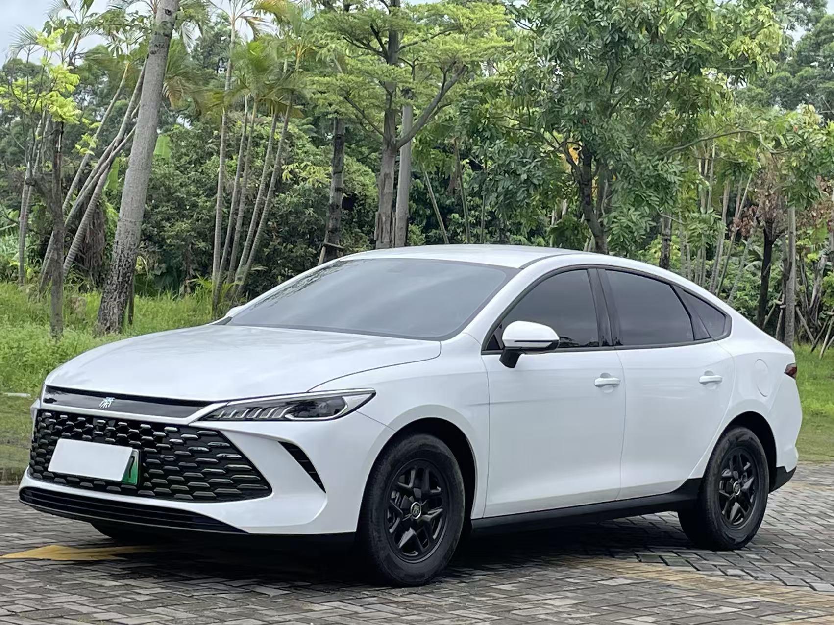BYD Qin PLUS DM