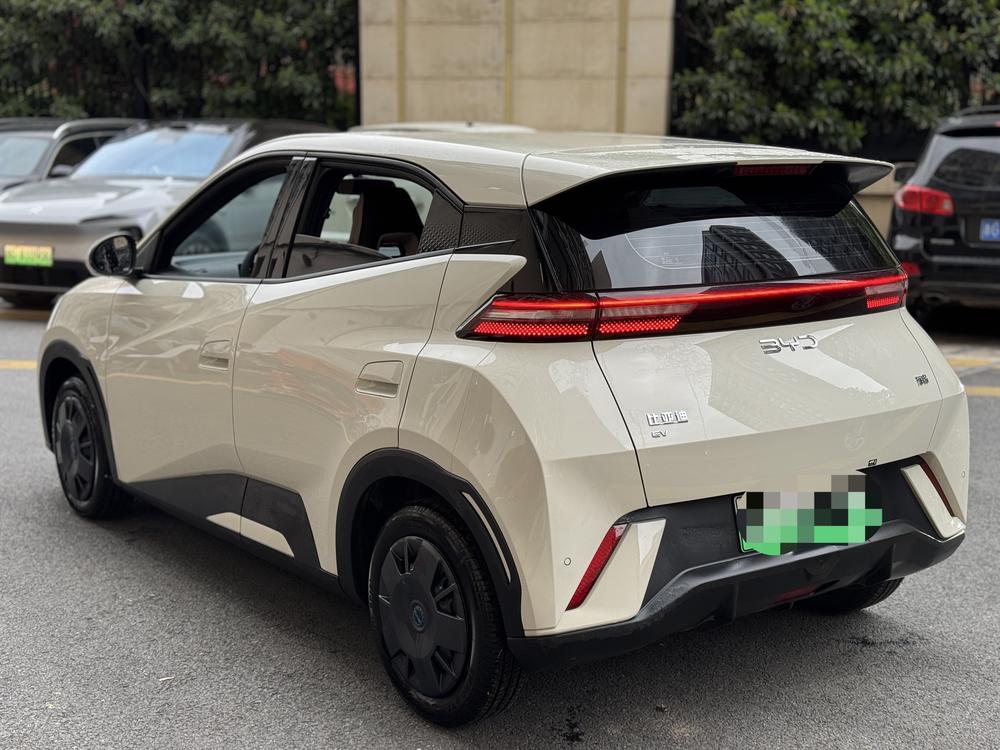 BYD Seagull