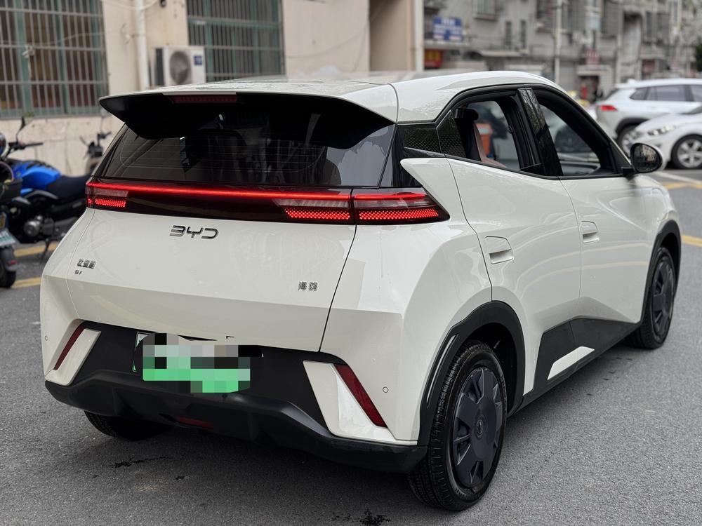 BYD Seagull
