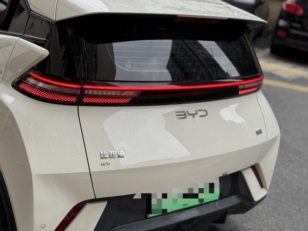BYD Seagull