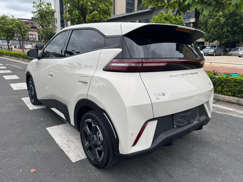 BYD Seagull