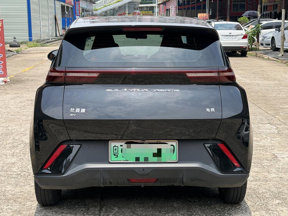 BYD Seagull