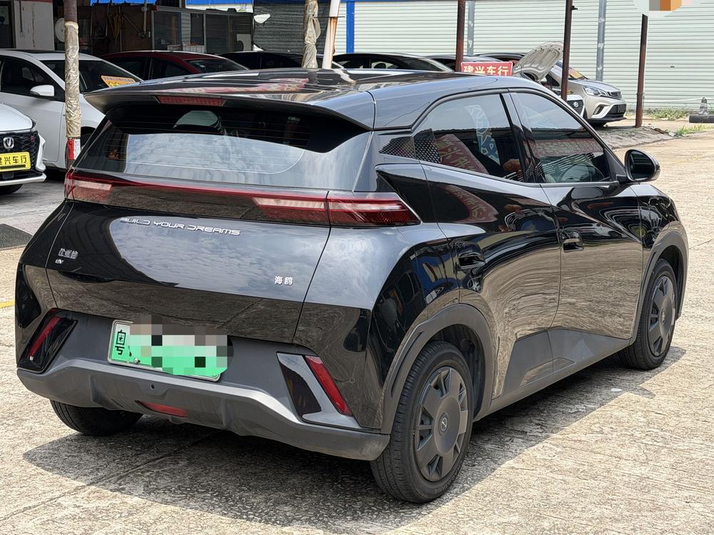 BYD Seagull