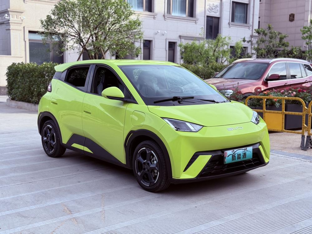 BYD Seagull