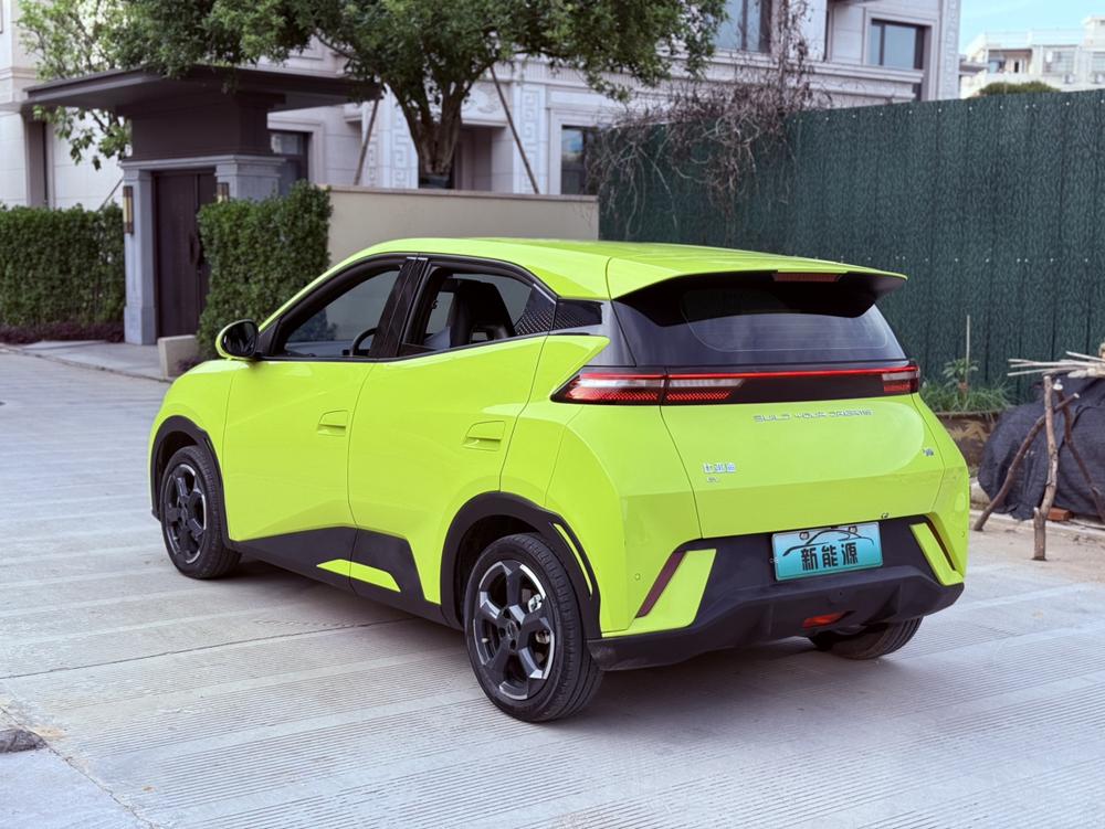 BYD Seagull