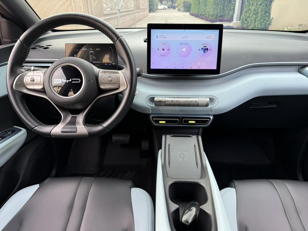 BYD Seagull