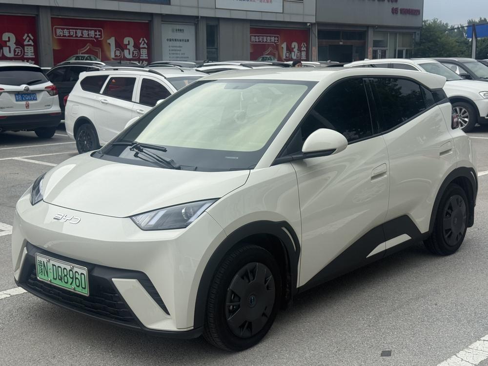 BYD Seagull