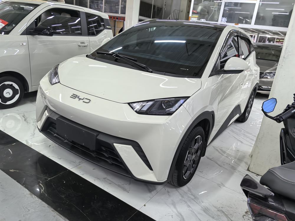 BYD Seagull