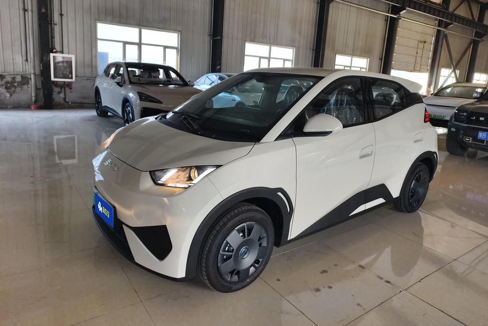 BYD Seagull