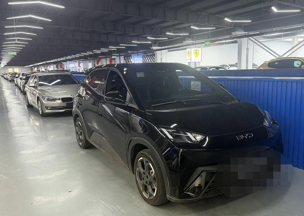 BYD Seagull