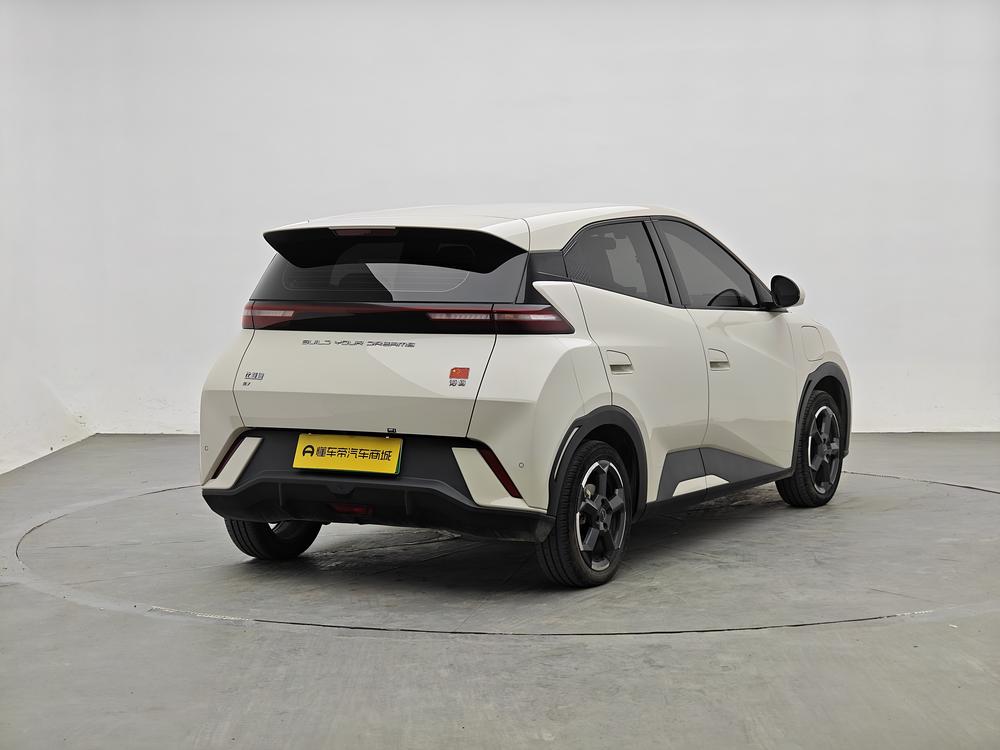 BYD Seagull