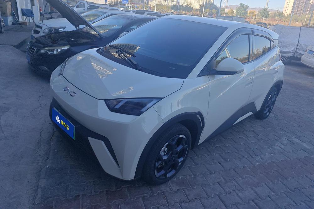 BYD Seagull