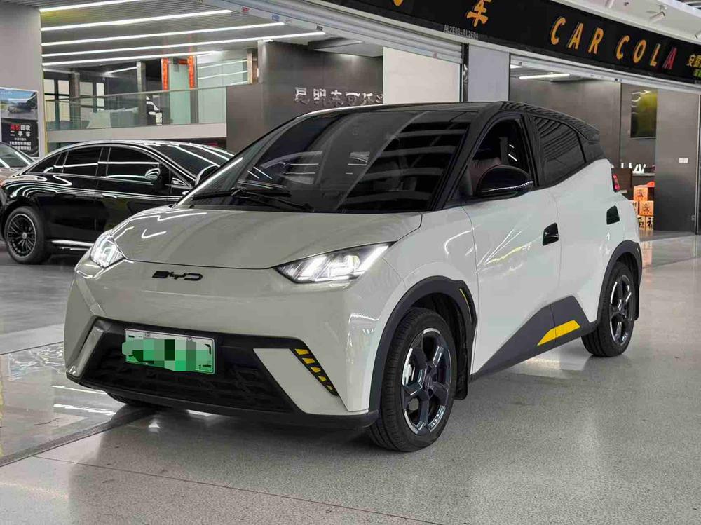 BYD Seagull