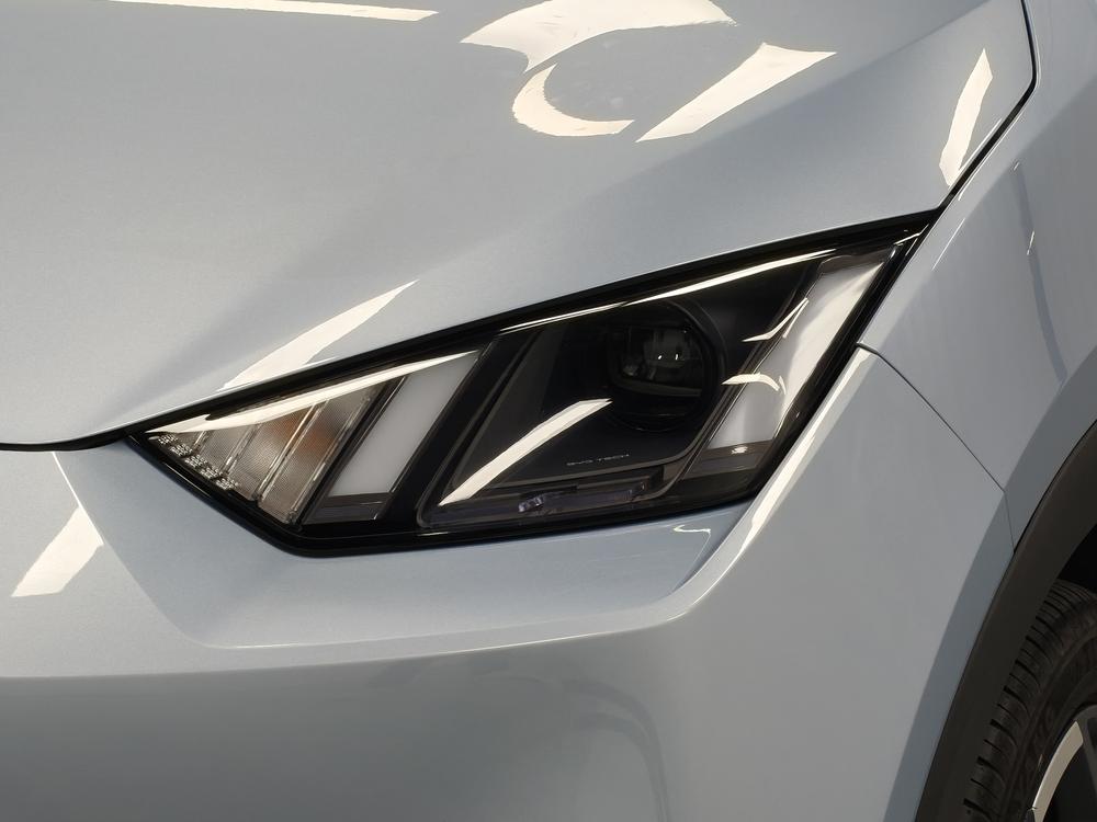 BYD Seagull