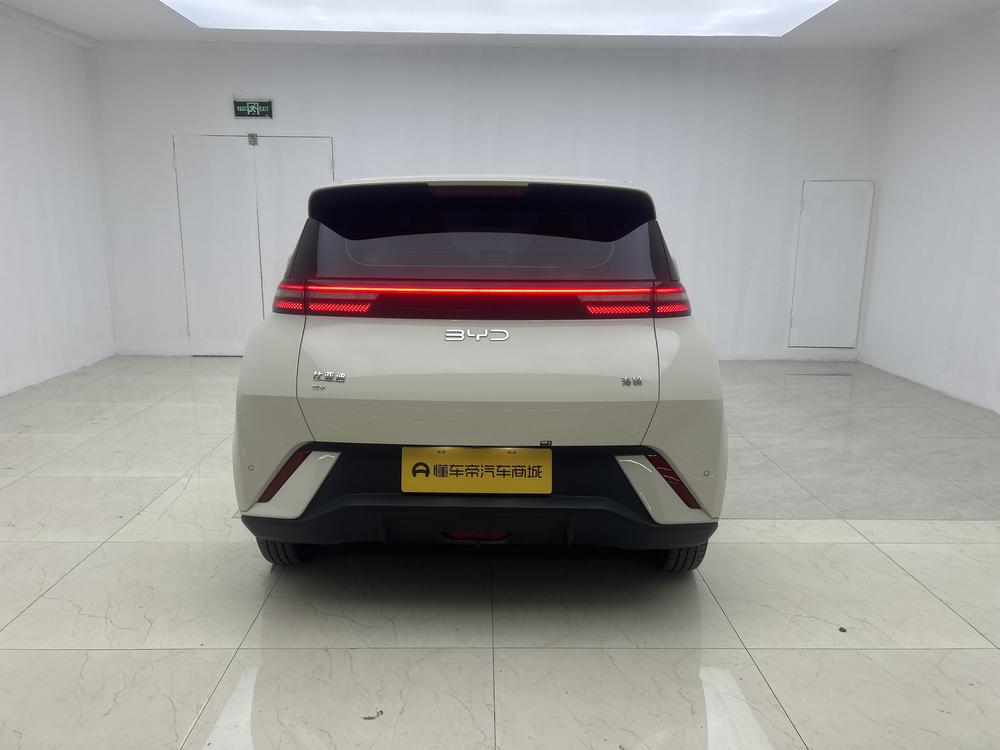 BYD Seagull