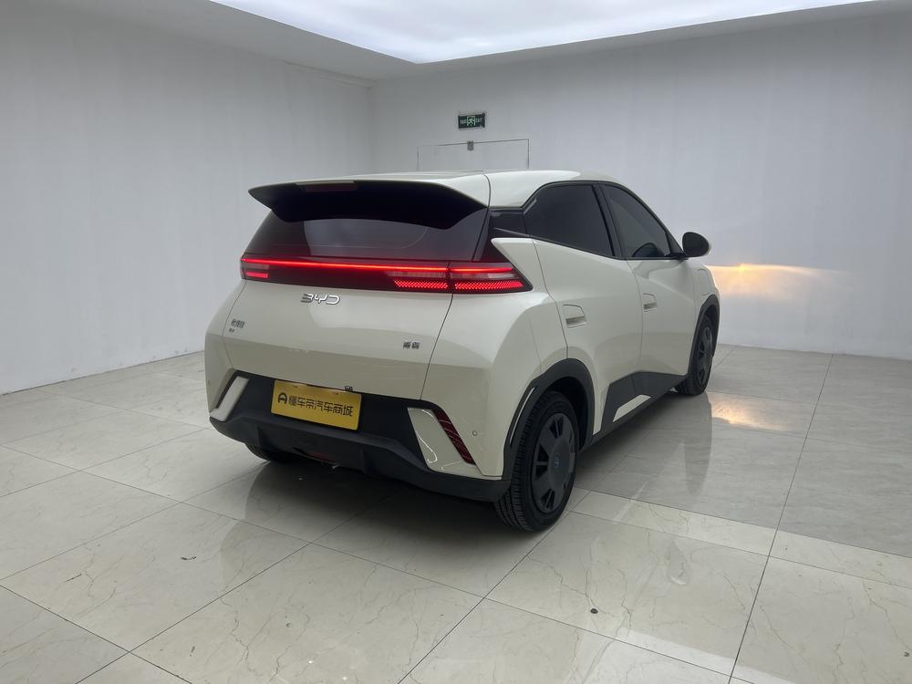 BYD Seagull