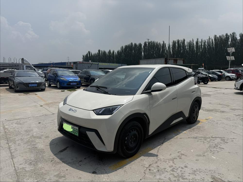 BYD Seagull