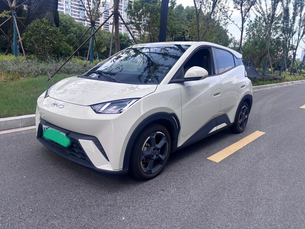 BYD Seagull