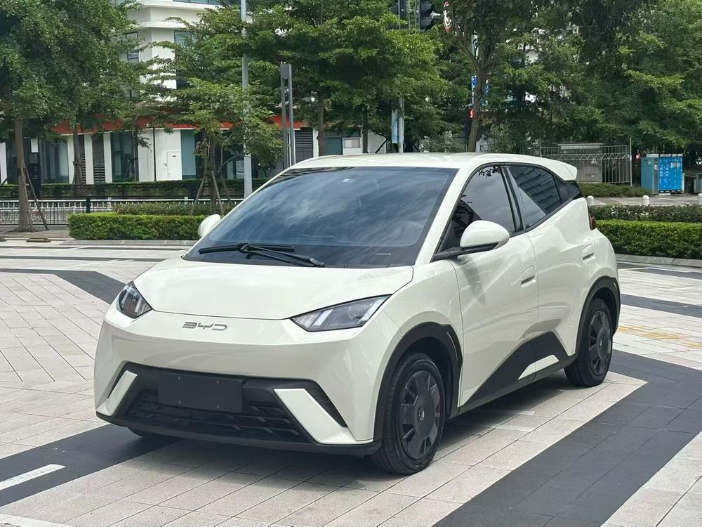 BYD Seagull