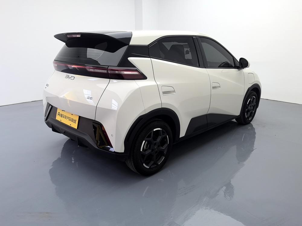 BYD Seagull