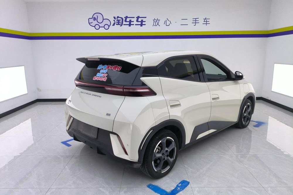 BYD Seagull