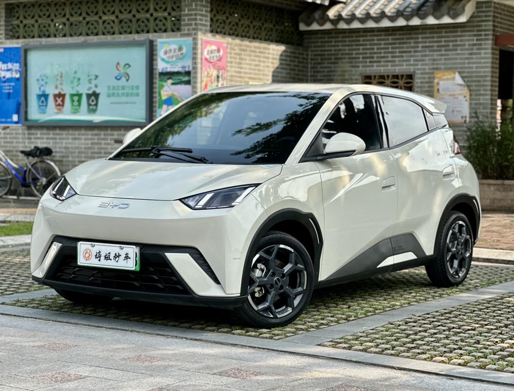BYD Seagull