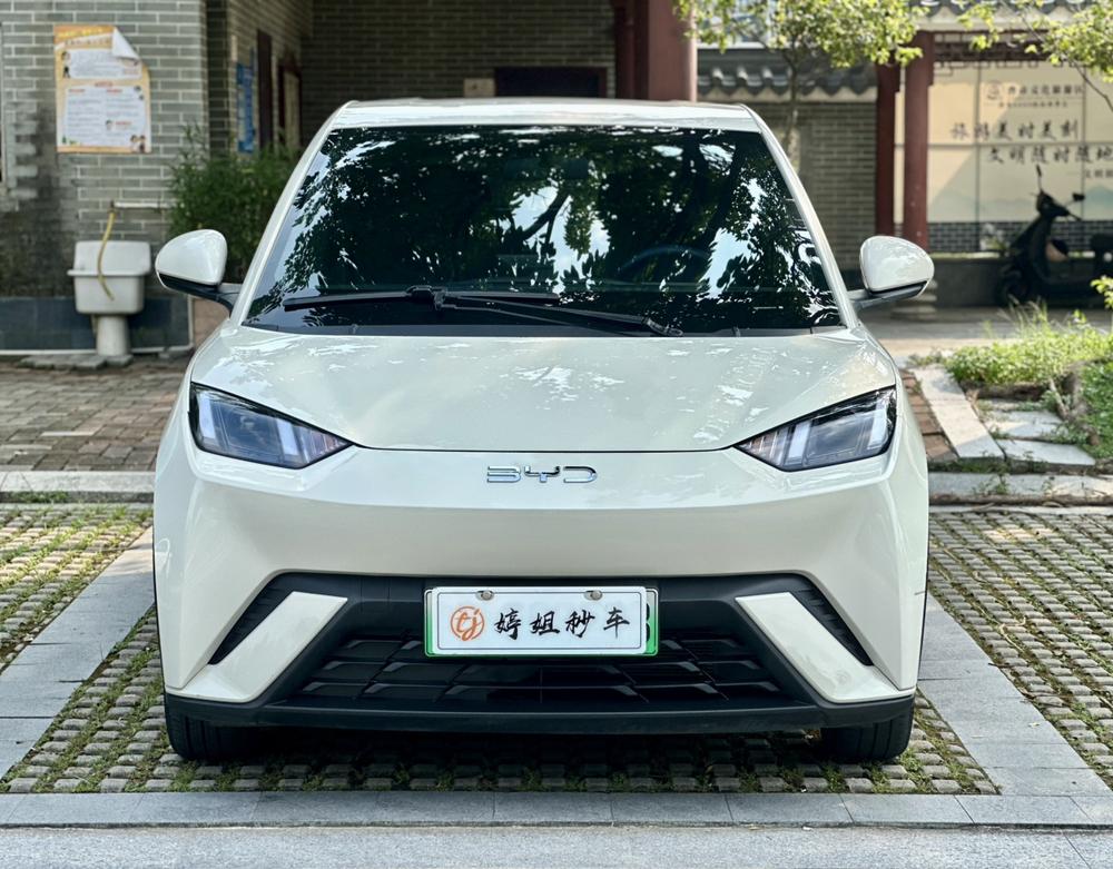 BYD Seagull