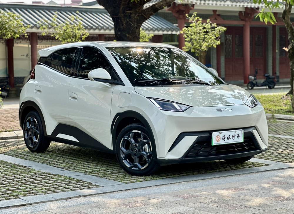 BYD Seagull