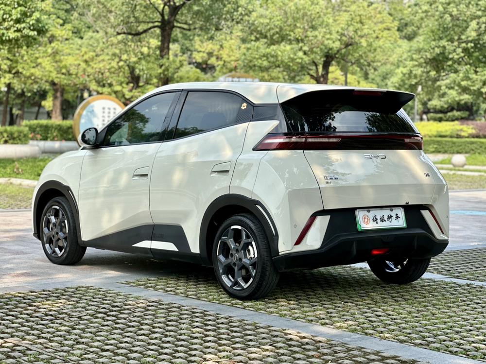 BYD Seagull