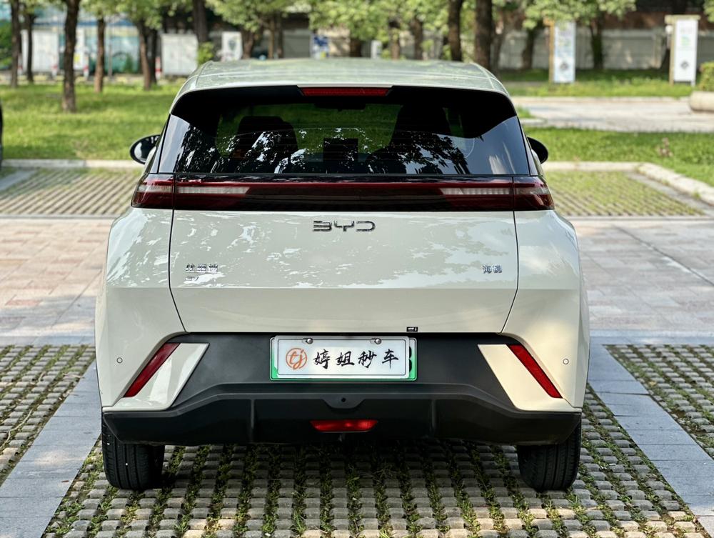 BYD Seagull