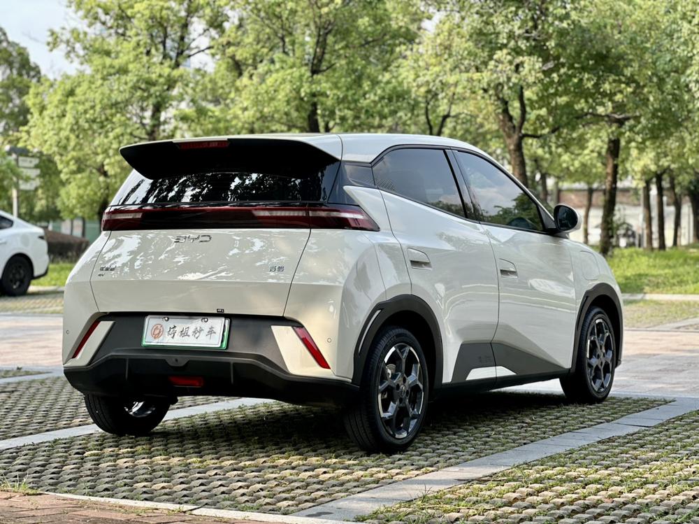 BYD Seagull
