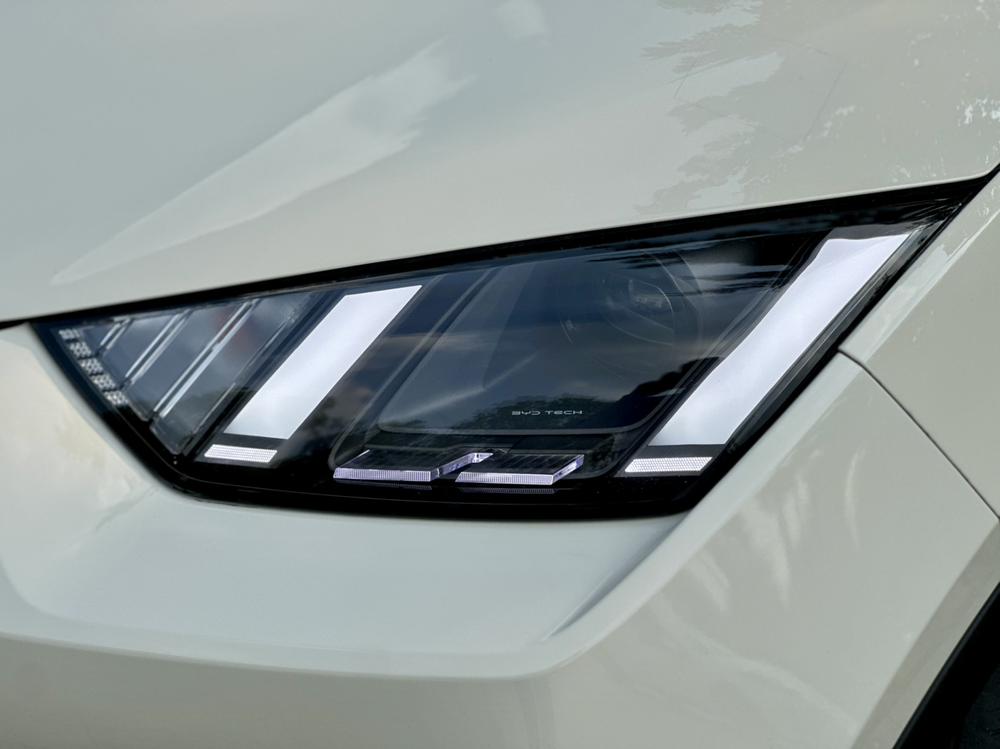 BYD Seagull