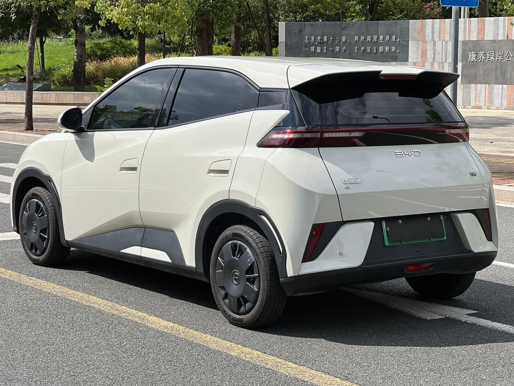 BYD Seagull