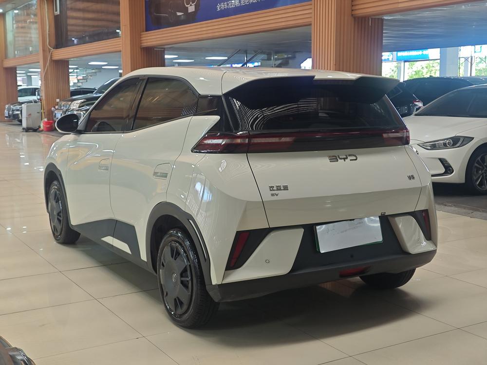 BYD Seagull