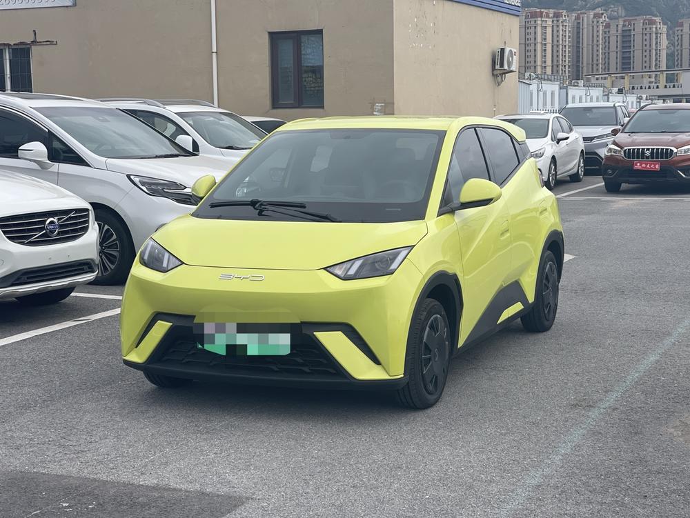 BYD Seagull